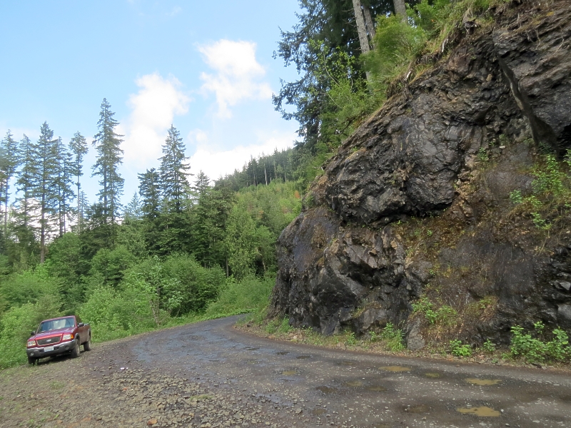 road cut outcrop Crescent Formation basalt Capitol Forest