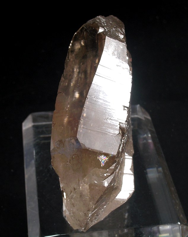   Smokey Quartz   Gletchhorn, Goscheneralp, Uri, Switzerland  